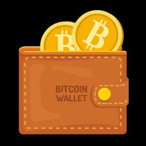 Read more about the article Crypto Wallet Hack Recovery Experts: Your Guide to Restoring Stolen Assets