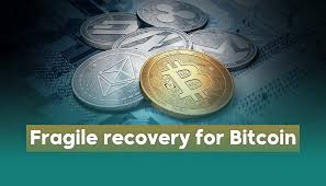 Read more about the article How Professional Bitcoin Scam Recovery Services Can Help You Reclaim Your Funds