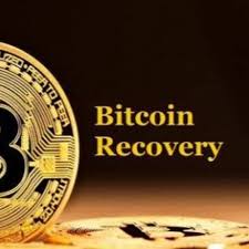 Read more about the article Recovery from Bitcoin Scams: Your Guide to Reclaiming Lost Funds