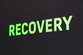 Read more about the article Crypto Recovery Services: Your Ultimate Solution to Recover Lost Assets