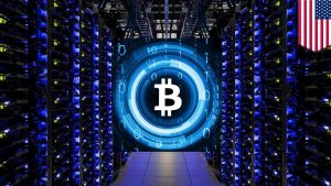 Read more about the article Crypto Loss Prevention: Strategies to Safeguard Your Digital Assets